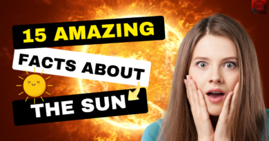 Sun facts feature image