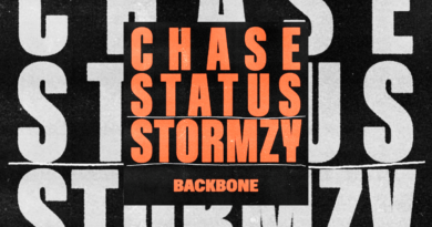 Song: Chase & Status Ft Stormzy, Backbone